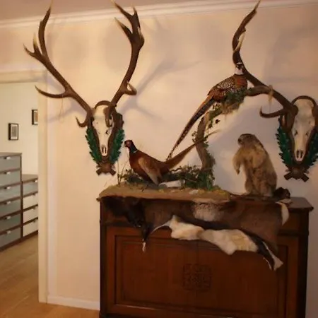 德尔欧罗帕加施泰因公寓式酒店 酒店